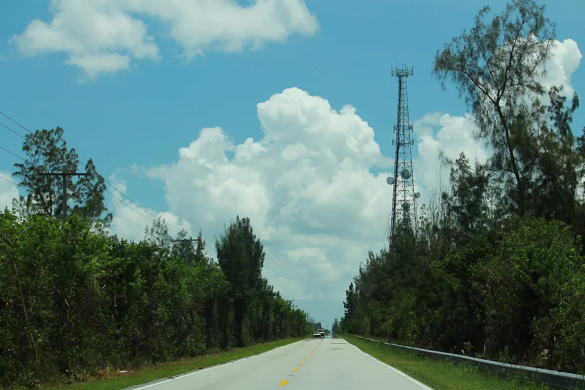 Two-lane Card Sound Road running straight between dense green brush under a bright sky south of Florida City