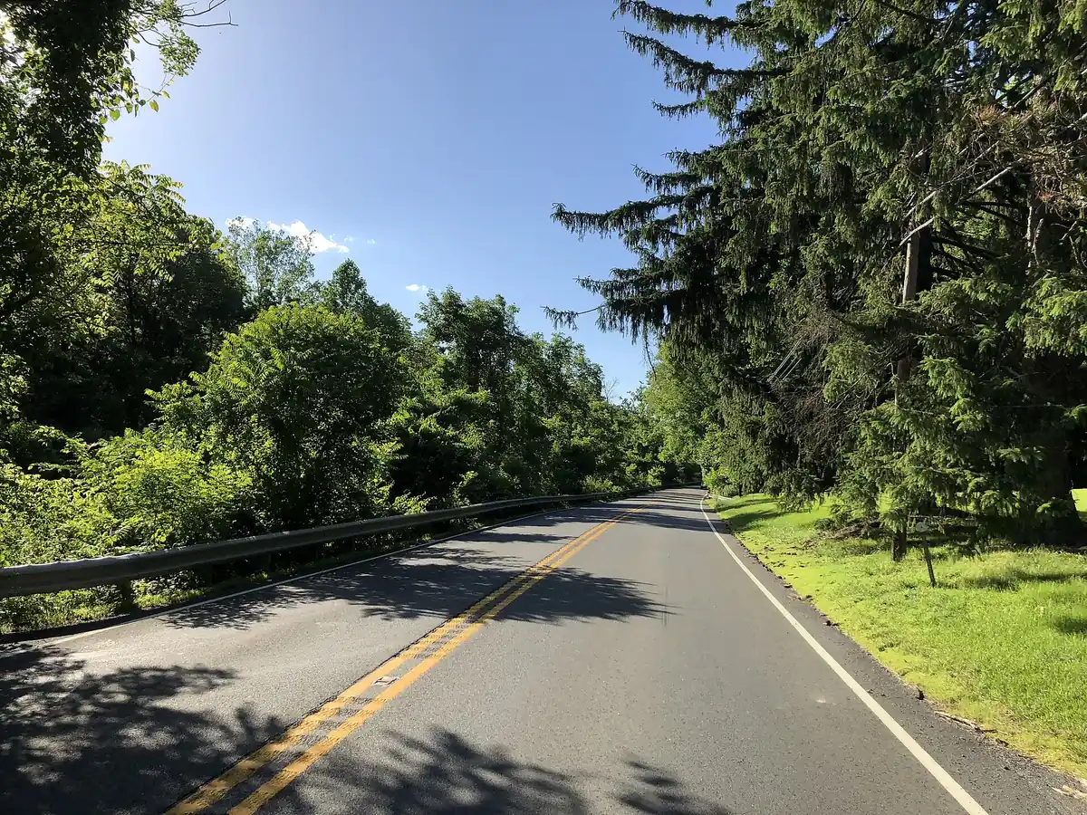 NJ 29 River Road curving under a tree canopy along the Delaware north of Lambertville
