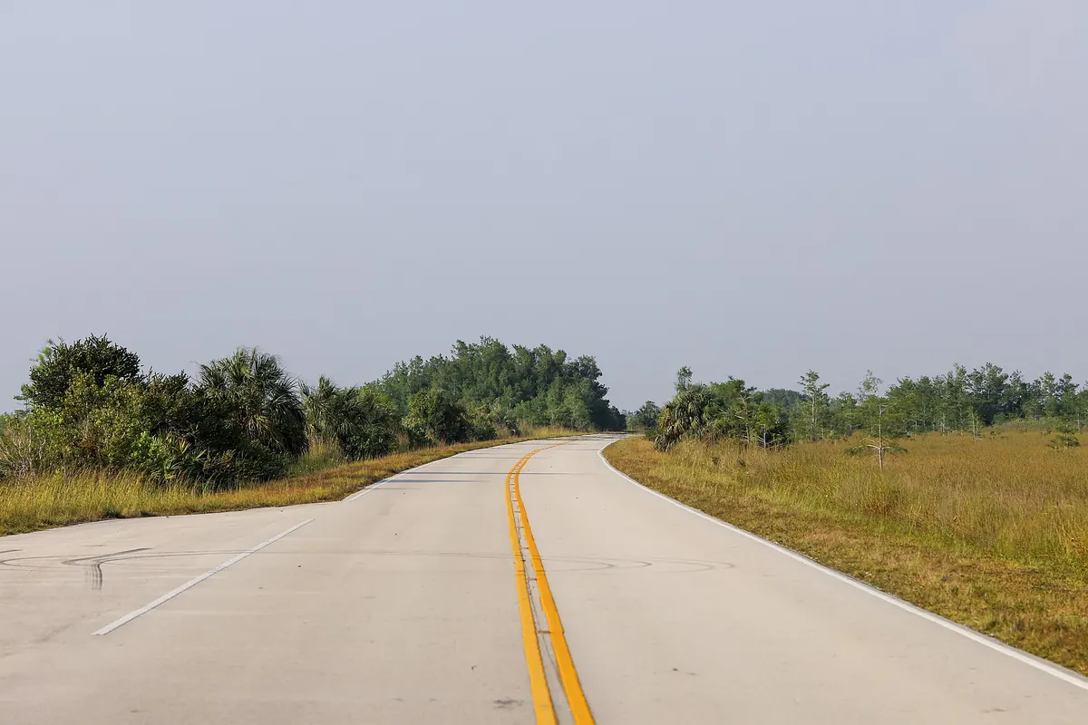 Two-lane Main Park Road curving through sawgrass prairie and tree islands in Everglades National Park